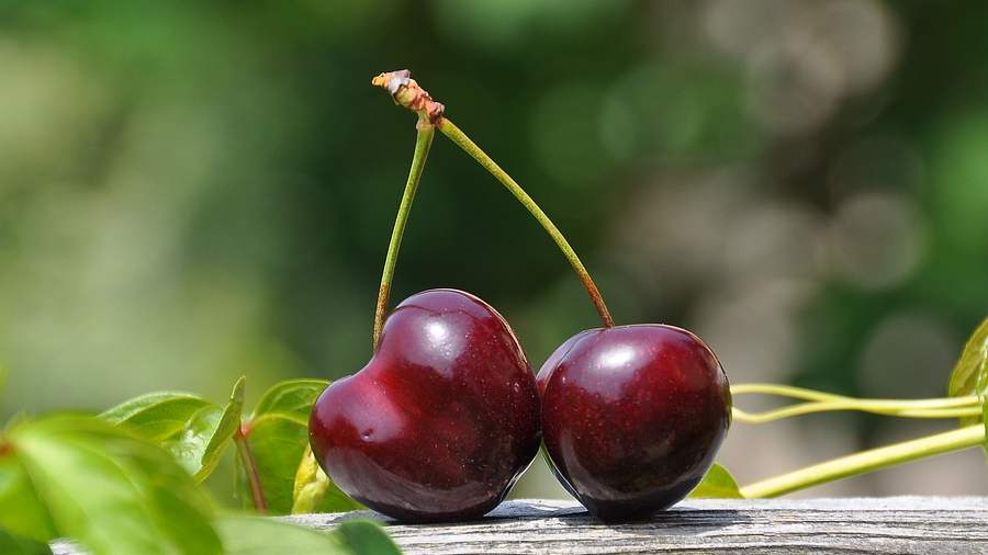 6 izgalmas tény, amit nem tudtunk a cseresznyéről. Egyél sokat, okos leszel! - Gasztro | Sóbors